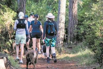 George Trails aims to make George the trail capital of South Africa