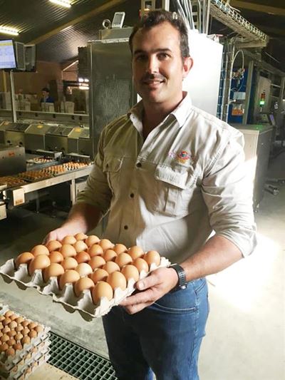 Egged on by success