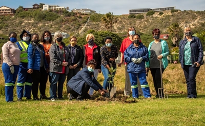 Greening up the village green