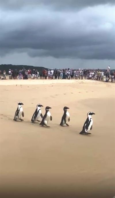 Smiling and waving back to freedom