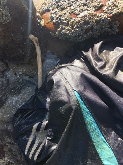 Opvolg: Eienaardige vonds op Diasstrand