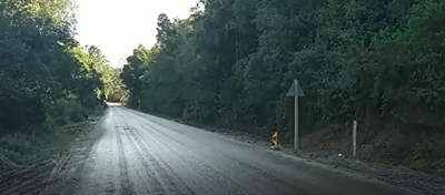 Madibadrive weer oop vir verkeer