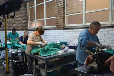 Jaarlikse Spay-a-Thon begin vandag