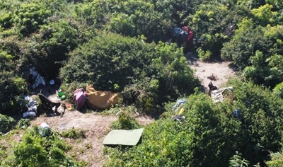 Forest dwellers cause concern
