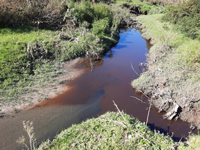 River survey reveals pollution problems