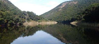Estuary 'in good condition'