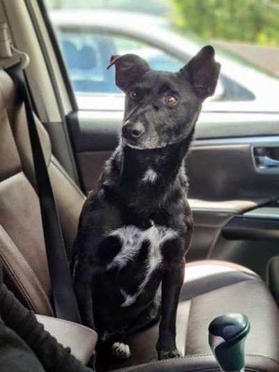 Gepaste afskeid vir Fix se Johan