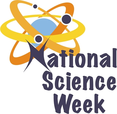 Garden a hive of activity during Science Week
