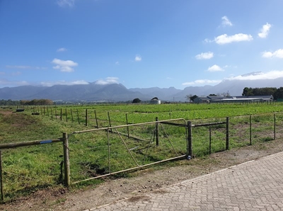 Creating a safer agricultural environment in Western Cape