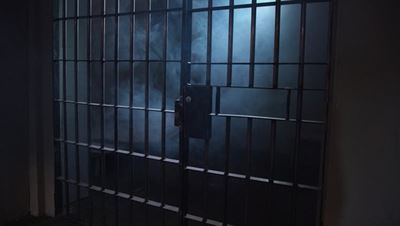 Suspect arrested for stock theft 