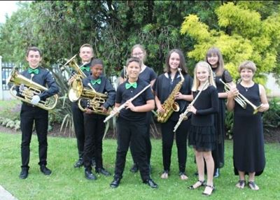 Enjoy 'Viennese Delights' with Carpe Musicam! Orchestra
