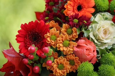 Blommedemonstrasie Saterdag 7 Mei