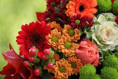 Blommedemonstrasie Saterdag 7 Mei