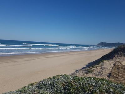 Streamlining dog-walking in Sedgefield