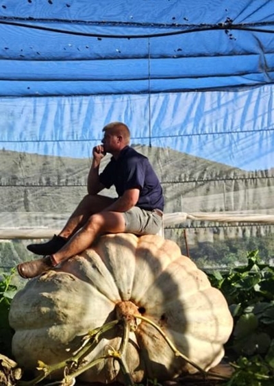 Willem's back-up pumpkin comes 4th at annual show