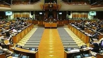 National Assembly postpones debate on Section 89 Panel report