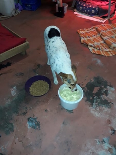Sproetjies is gevind