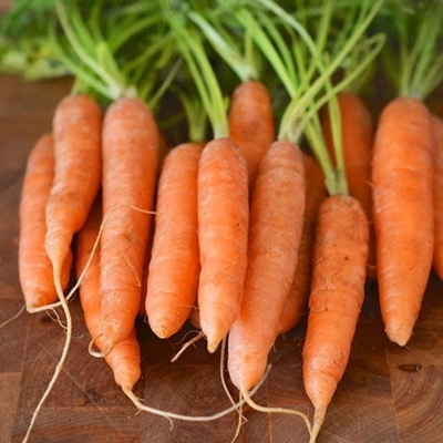 A guide to growing baby carrots
