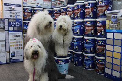 Dulux-trio steel harte