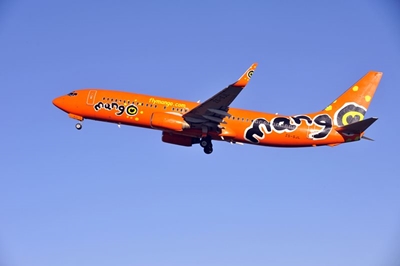 DPE welcomes ruling to place Mango under business rescue