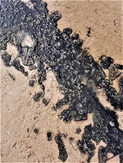 No oil spill at Danabaai