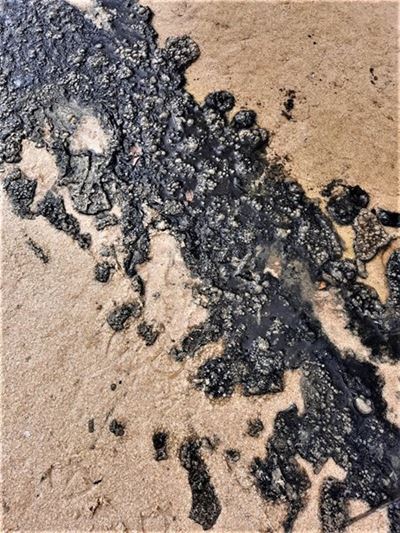 No oil spill at Danabaai