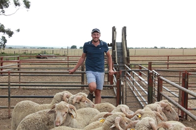 Boer soek ‘n Vrou in ons visier