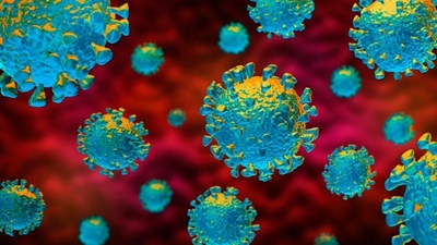 1280 confirmed Covid-19 cases in SA; 2 deaths