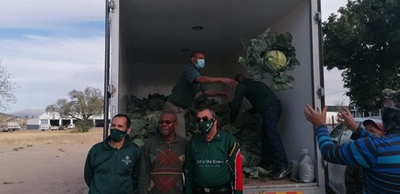 Emerging farmers receive cabbage donations