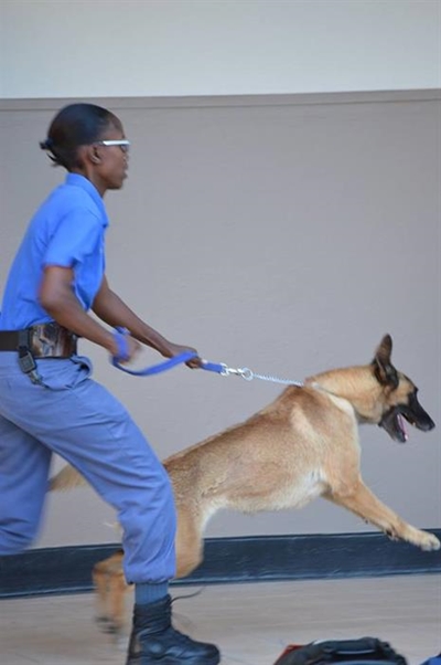 Honde-eenheid besoek Laer Volkskool