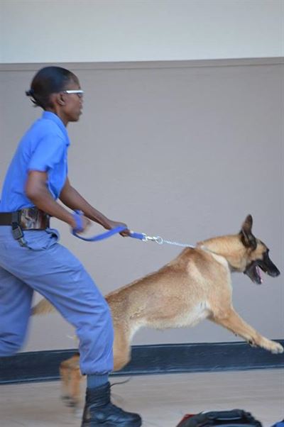 Honde-eenheid besoek Laer Volkskool