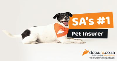  More than insurance: How the #1 pet insurer showed up in 2025
