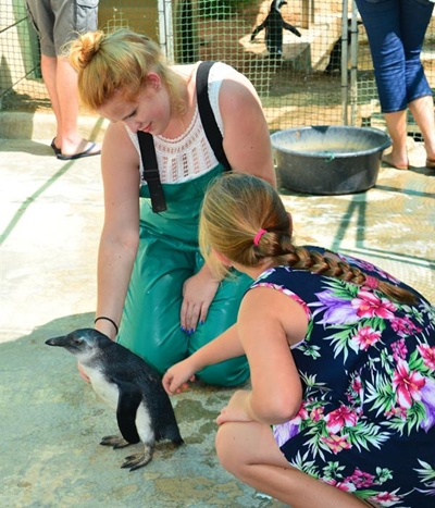Support seabird rescue