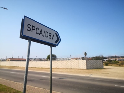 Tips to keep your animals safe this New Year's Eve