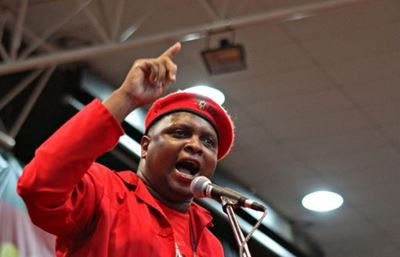‘Mkhwebane will finish her seven-year term as Public Protector,’ says EFF’s Floyd Shivambu