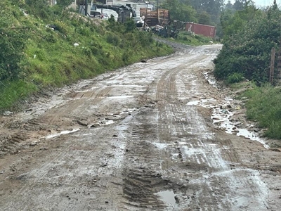 Roads cause distress