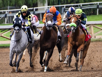 Top jockeys Striker and Bling raise eyebrows as Durban July weights are published