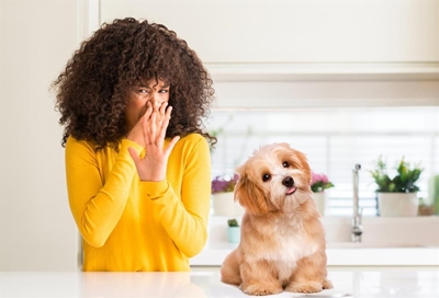 How to sell your home when you have pets