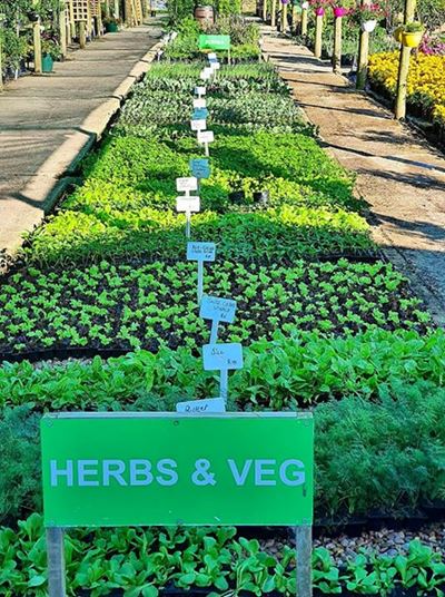 Kwekerye se verligting van korte duur