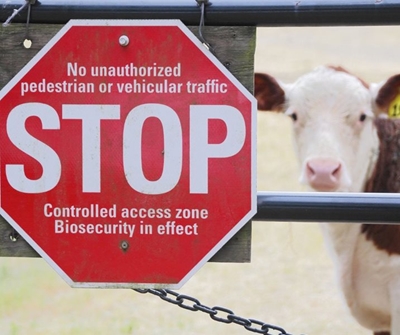 RPO Welcomes Biosecurity report and recommendations