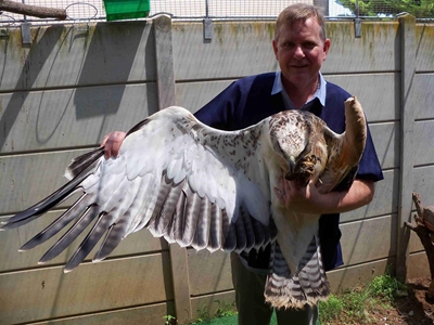 Eagle progressing well