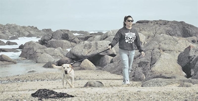 Beaches: dogs on leads 'necessary'