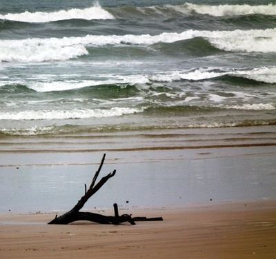 Belangeforum moedig die Skoner Stilbaai-aksie aan