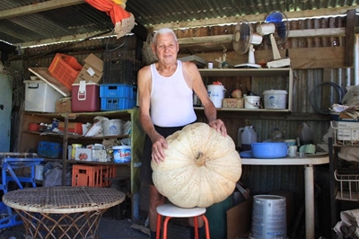 Piet-pampoen het groen vingers