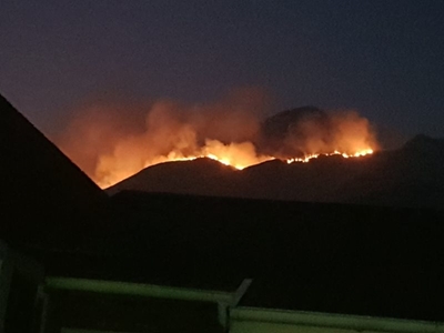 Update: Herold veldfire