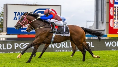 Knysna resident's horse all set for Durban July