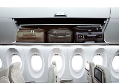 Dog dies in overhead locker on United Airlines plane