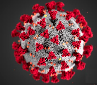 Update: Coronavirus in the Western Cape