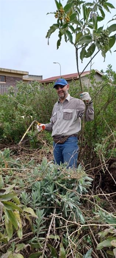 Restoring ecology of Meulen River