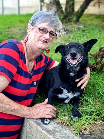 Quick fix as homeless dog finds new 'mom'